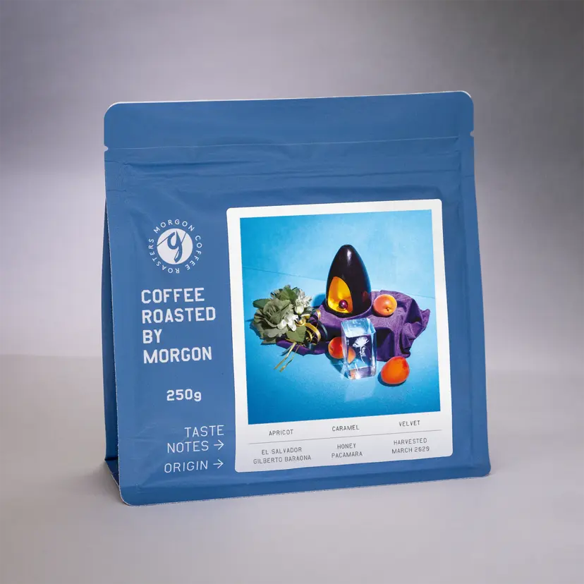 El Salvador Diego Baraona 2024