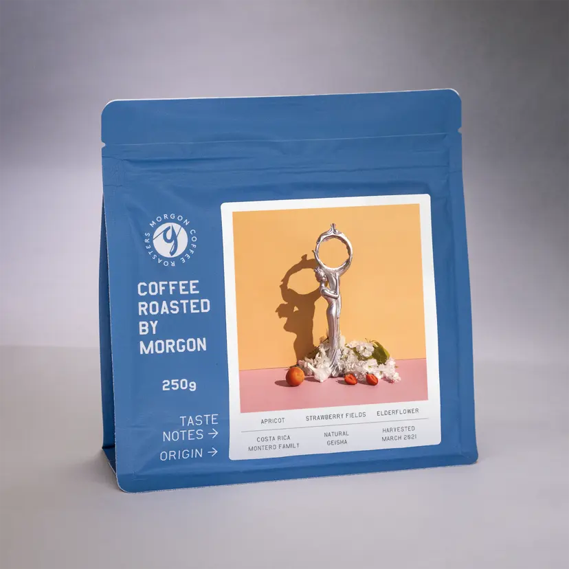 Montero Family Natural Gesha