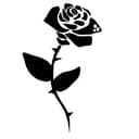 Steel Flower Roasters